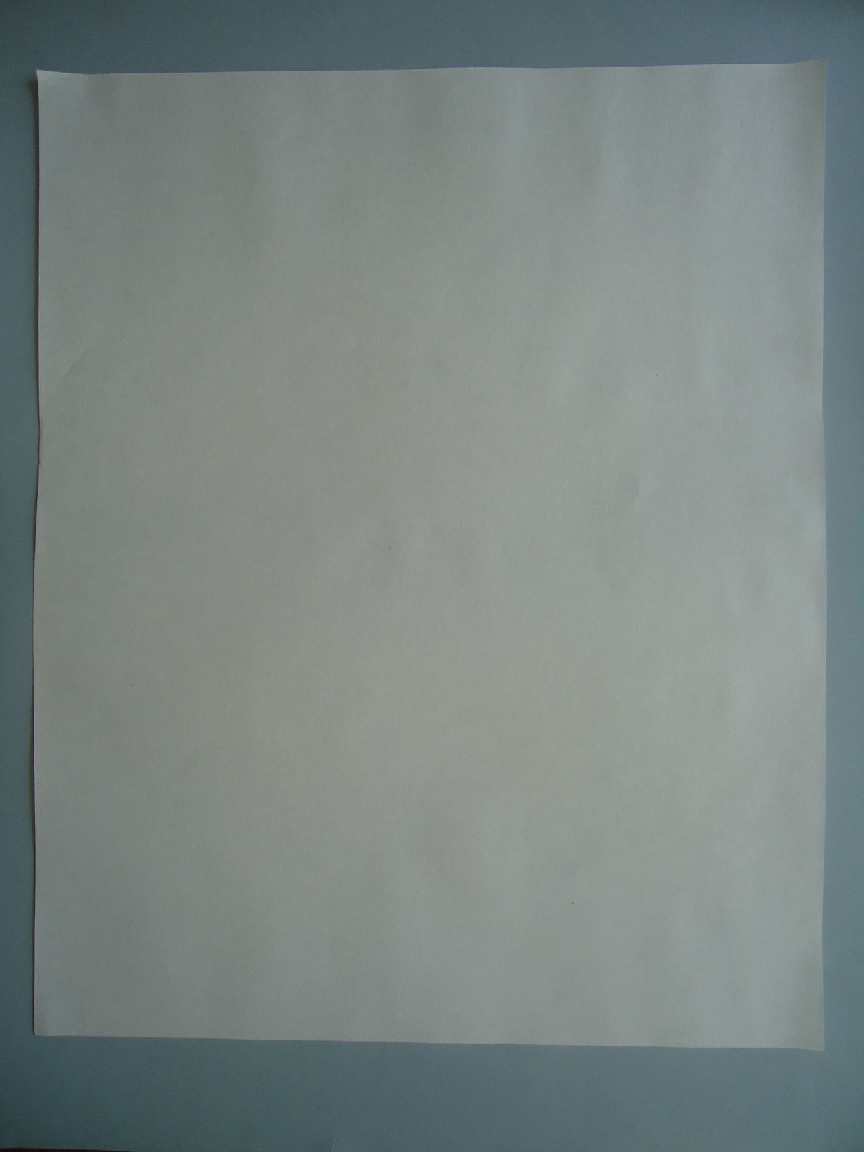 Papel filtro plano 42x52 cms. (pack 500 uni.)